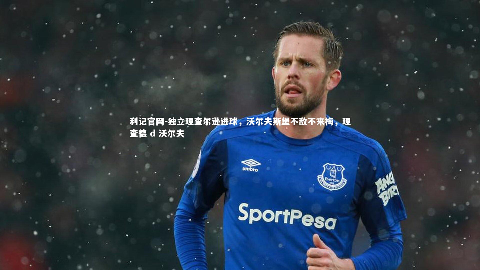 独立理查尔逊进球，沃尔夫斯堡不敌不来梅，理查德 d 沃尔夫