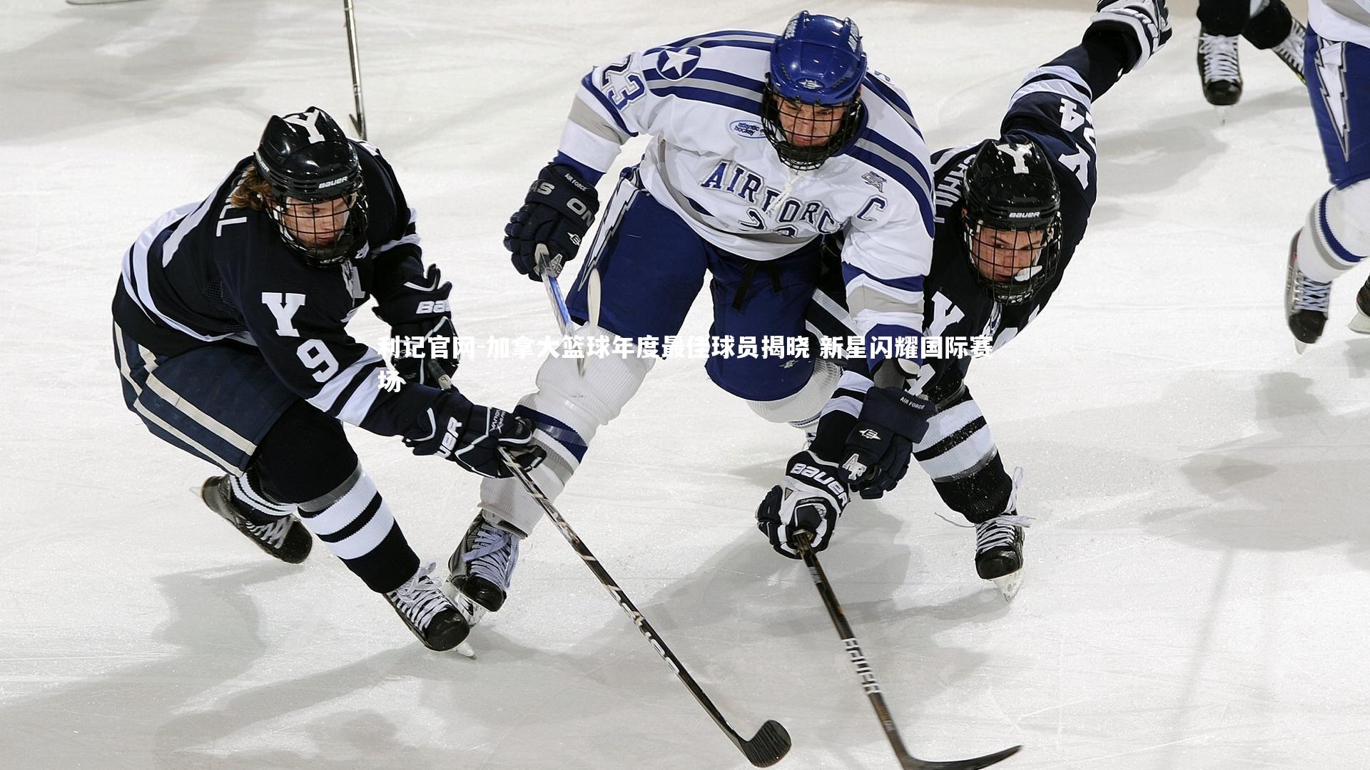 加拿大篮球年度最佳球员揭晓 新星闪耀国际赛场