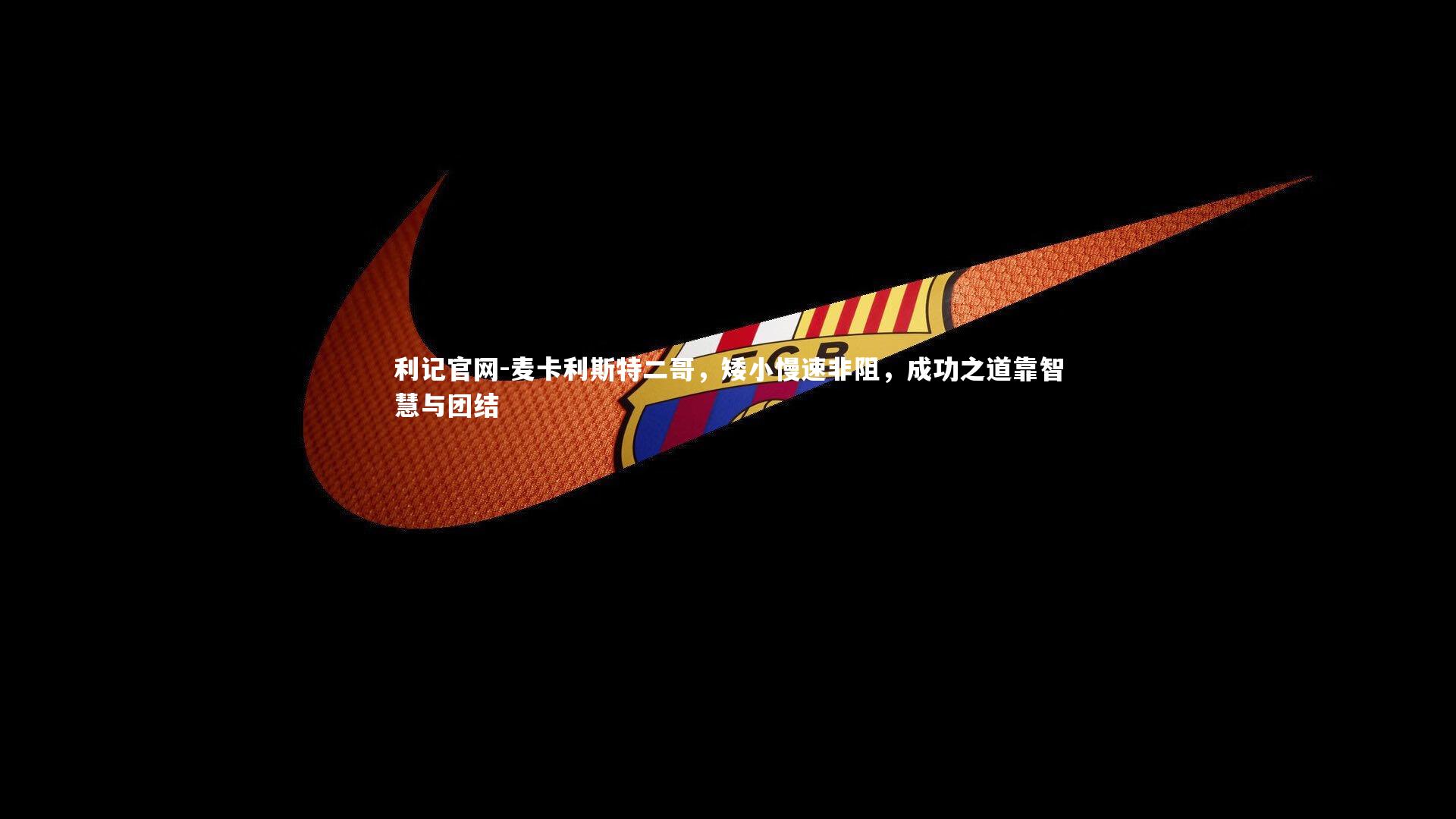 麦卡利斯特二哥，矮小慢速非阻，成功之道靠智慧与团结